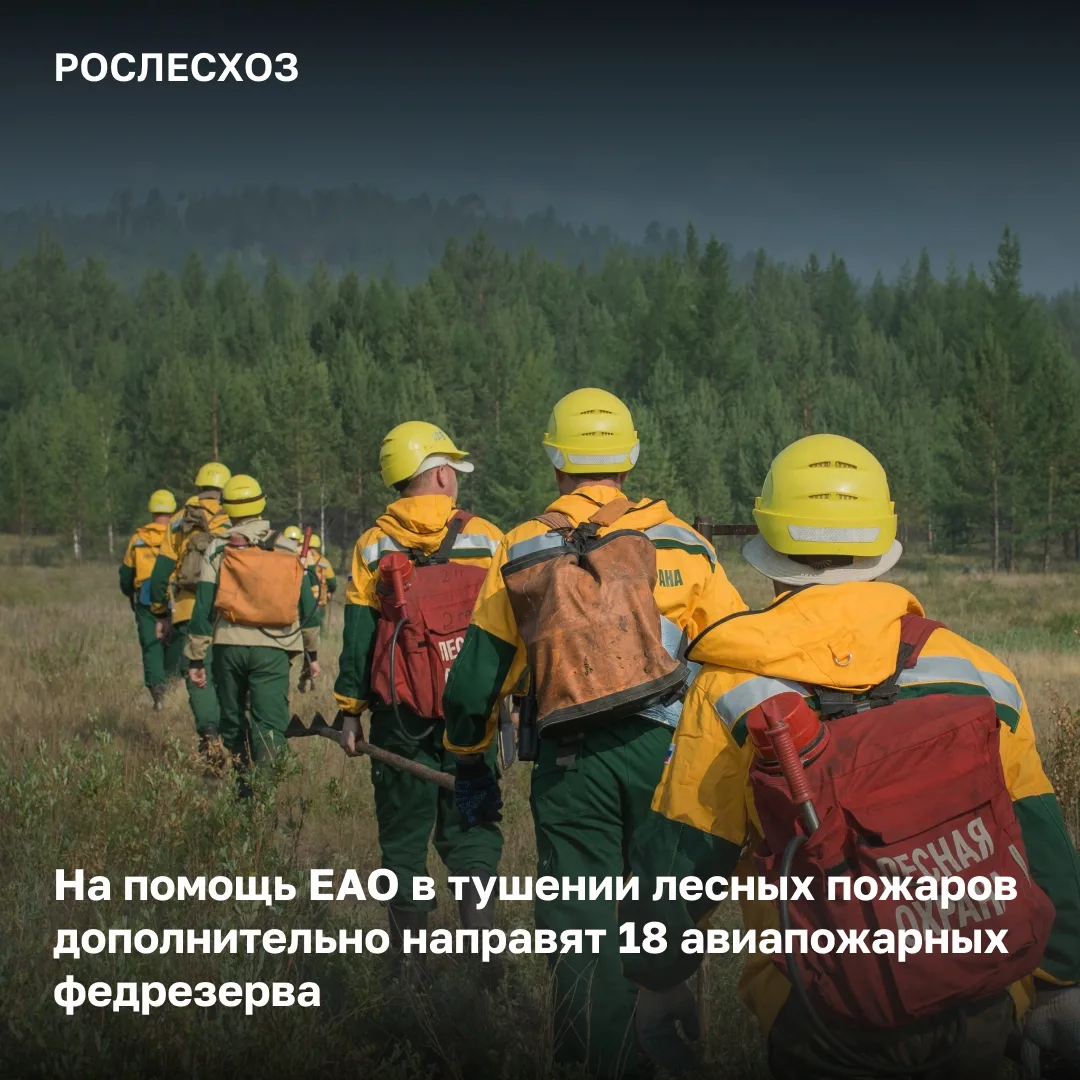 На 06:00 мск 10 мая в Еврейской автономной области действует 3 лесных пожара на площади 3,9 тыс
