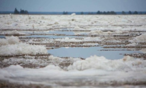 Уровень воды на Лене превысил опасные отметки в Витиме и Пеледуе
