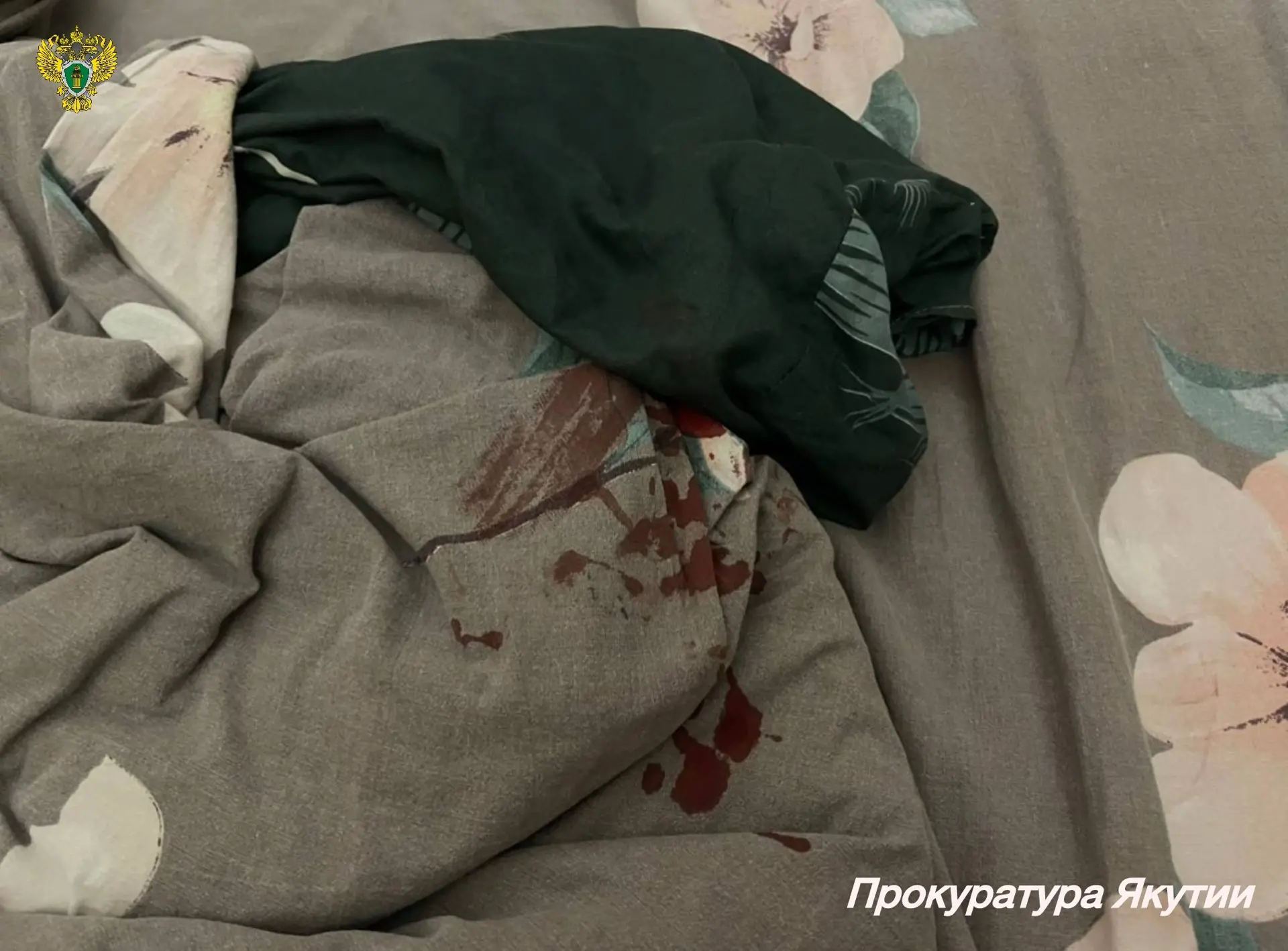 В Оленекском районе прокуратура направила в суд уголовное дело в отношении женщины обвиняемой в убийстве своего племянника В Оленекском районе прокуратура направила в суд уголовное дело в отношении женщины обвиняемой в убийстве своего племянника