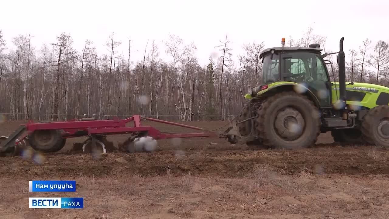 Быйылгы сылга Саха сиригэр 52 ты. тахса га сиргэ тыа хааайыстыбатын култууратын ыыахтара
