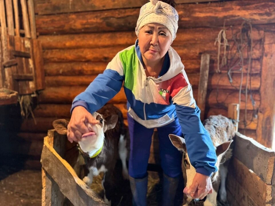 В Горном районе родились телята-близнецы В Горном районе родились телята-близнецы