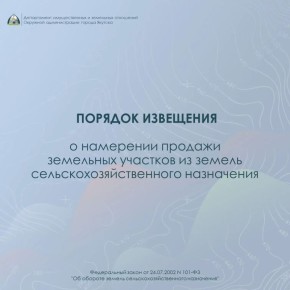 Как правильно продать земельный участок сельхозназначения?
