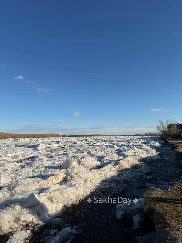 Ледовая обстановка на Лене на 08-00 ч. 18 мая: по всей территории городского округа Якутск идет густой ледоход, уровень воды превышен в Кангалассах, сообщает мэрия Якутска