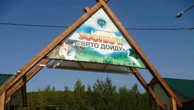 Самый северный зоопарк в зоне вечной мерзлоты «Орто дойду» празднует 25-летие