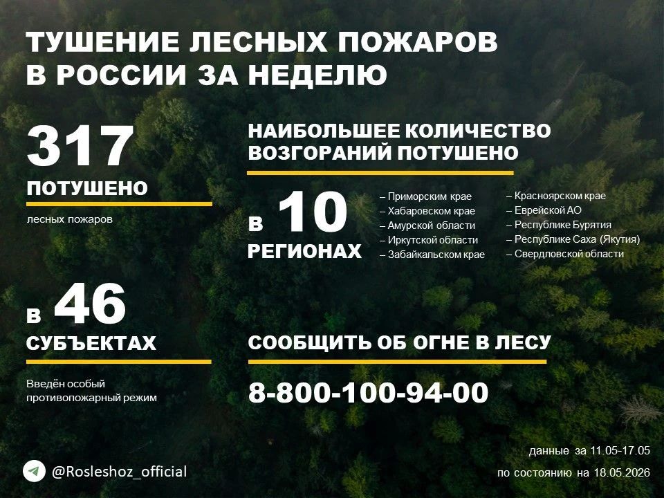 По данным Авиалесоохраны, подведомственной организации Рослесхоза, за прошедшую неделю потушено 317 лесных пожаров в 32 регионах России