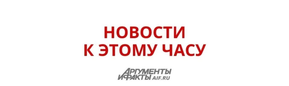 Едет большой друг: жителей Китая поразила подготовка к визиту Путина