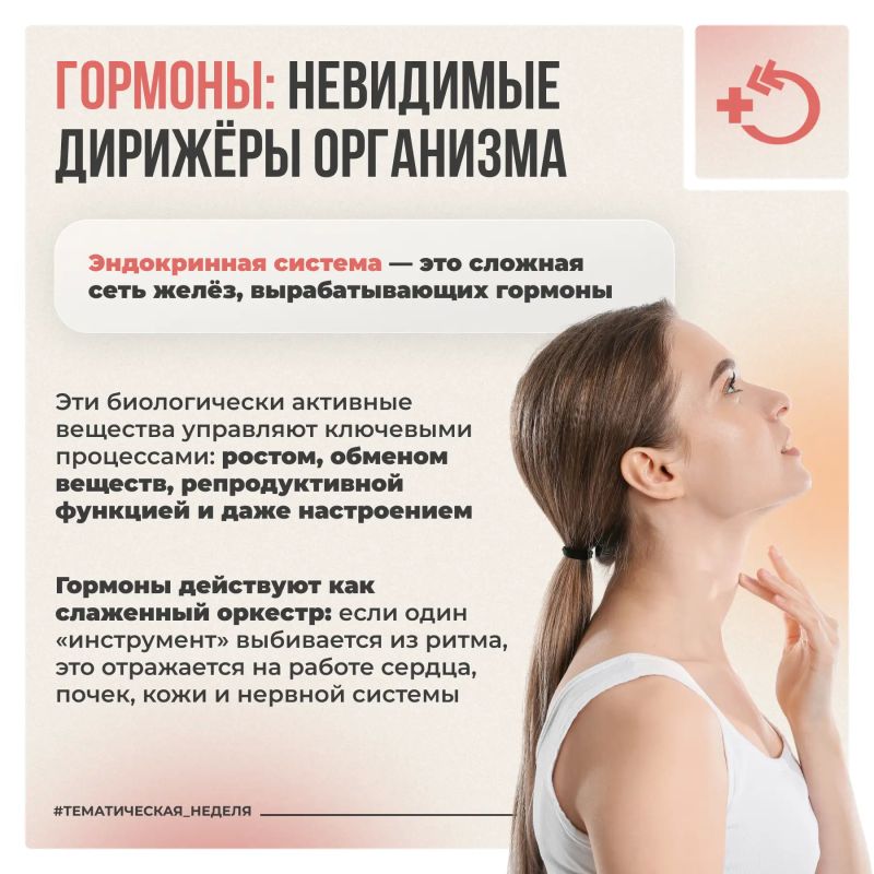 Эндокринная система регулирует обмен веществ, работу сердечно-сосудистой и нервной систем, а также эмоциональное состояние Эндокринная система регулирует обмен веществ, работу сердечно-сосудистой и нервной систем, а также эмоциональное состояние