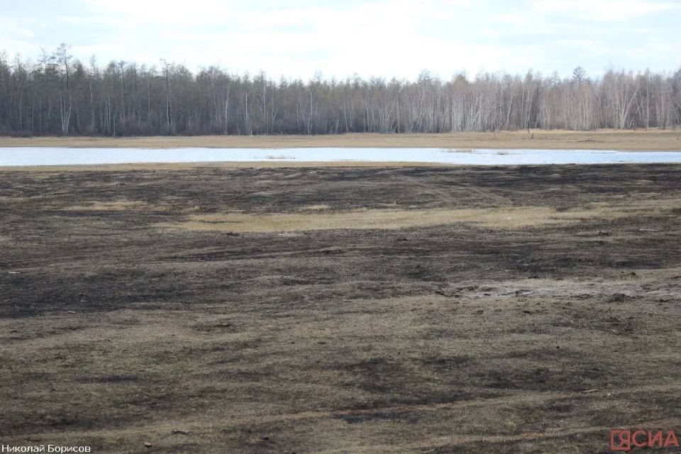Штраф — до 500 тысяч или тюремный срок: якутянам напомнили о запрете выжигания сухой травы