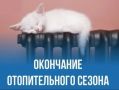 � ���������� ���� (������) �������� ����������� ������������ �����