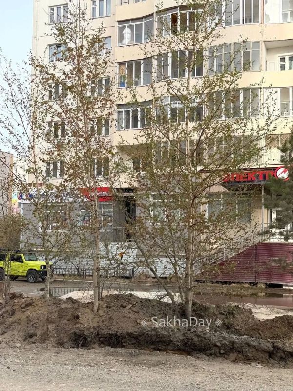 На Ойунского желтеют березы