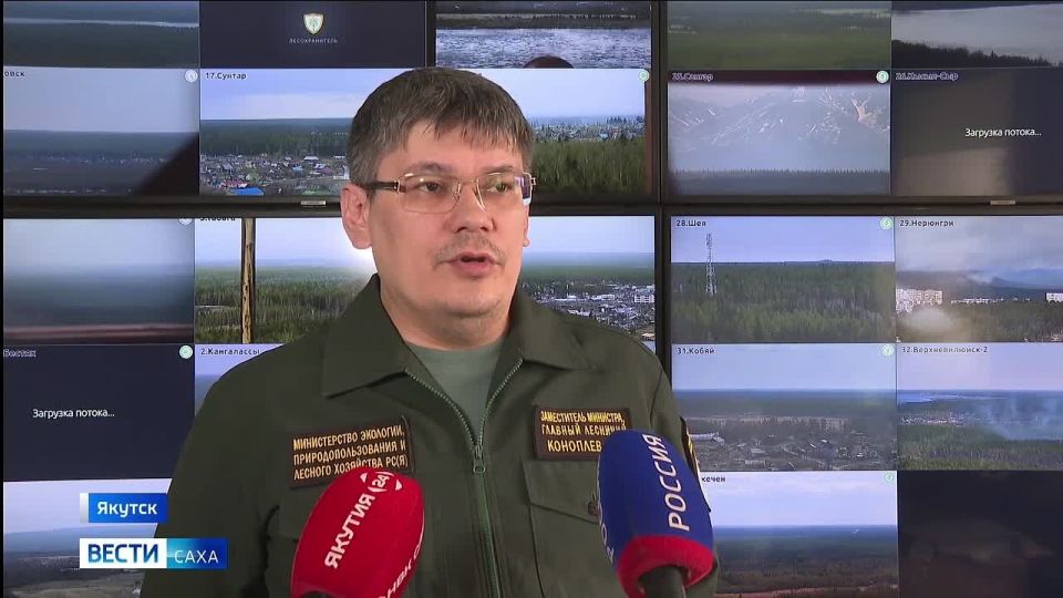 Два лесных пожара ликвидировали в Якутии за сутки