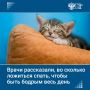 Минздрав включил режимы приема пищи и физической активности в базовые рекомендации для здорового образа жизни