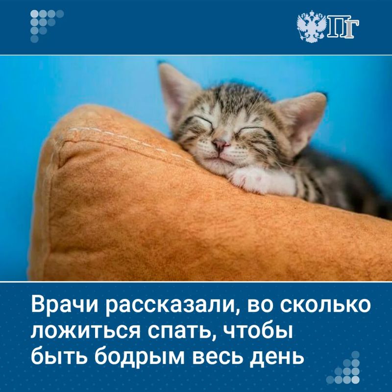 Минздрав включил режимы приема пищи и физической активности в базовые рекомендации для здорового образа жизни