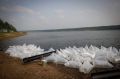 Более 30 млн мальков ценных рыб выпустят в водоемы Якутии