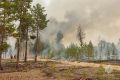 В Сунтарском районе 28-29 мая объявлен высокий класс пожароопасности