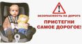 В Якутске 29 мая будущим и молодым родителям бесплатно передадут автолюльки — в преддверии Дня защиты детей стартует финальный этап акции «Безопасная дорога для малышей»