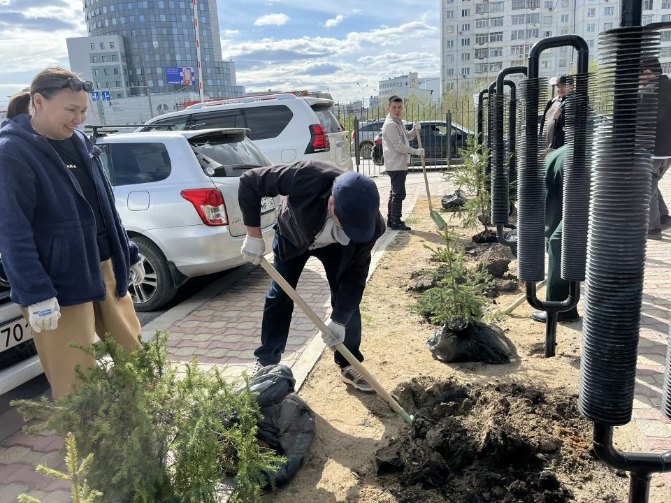 #ЗеленыйЧетверг: в Минэкологии Якутии заложили аллею из именных елей #ЗеленыйЧетверг: в Минэкологии Якутии заложили аллею из именных елей