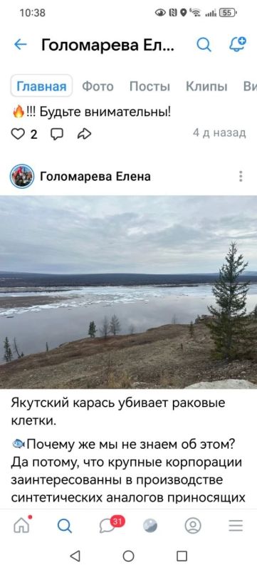 Депутат Елена Голомарева написала пост о том, что якутский карась убивает раковые клетки