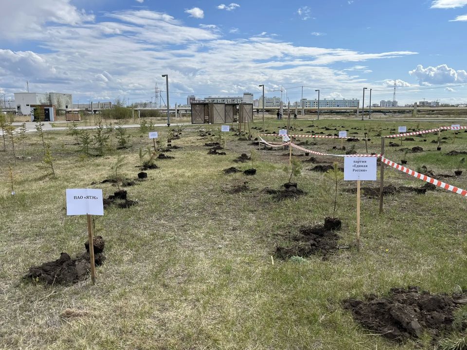 В Парке Победы высадили 300 деревьев в рамках Международной акции «Сад памяти» В Парке Победы высадили 300 деревьев в рамках Международной акции «Сад памяти»
