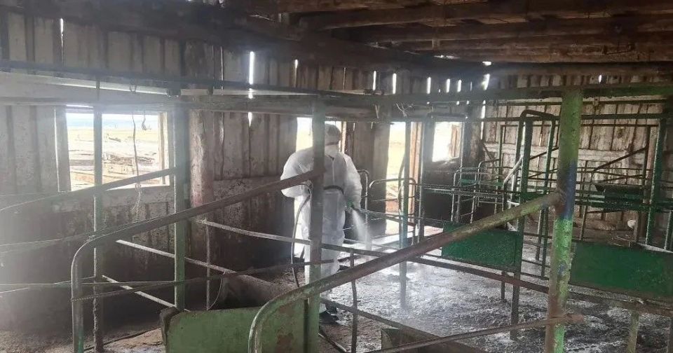 Ветеринарные врачи Управления ветеринарии г.Якутска ежегодно проводят дезинфекцию животноводческих помещений Ветеринарные врачи Управления ветеринарии г.Якутска ежегодно проводят дезинфекцию животноводческих помещений