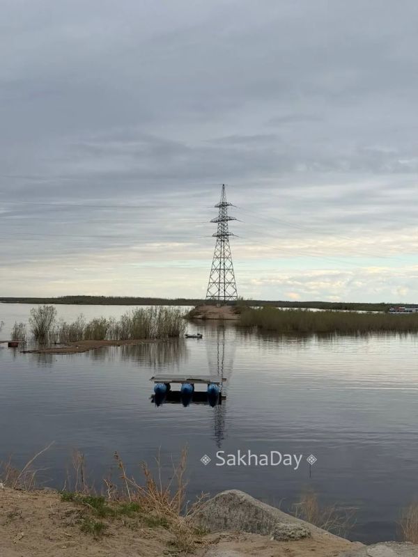 У реки. #дляsakhaday. Подписывайтесь на канал MAX.ru/SakhaDay! У реки. #дляsakhaday. Подписывайтесь на канал MAX.ru/SakhaDay!