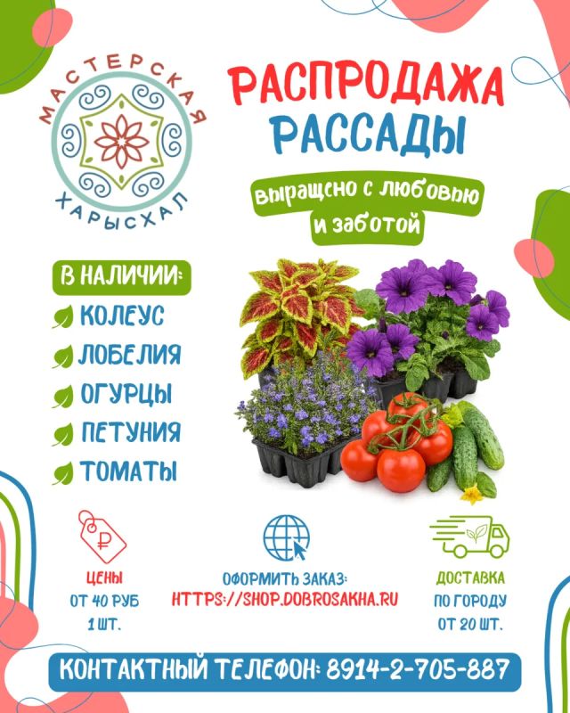 Мастерская гарденотерапии объявляет о СТАРТЕ распродажи рассады!