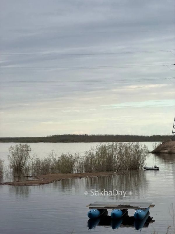 У реки. #дляsakhaday. Подписывайтесь на канал MAX.ru/SakhaDay! У реки. #дляsakhaday. Подписывайтесь на канал MAX.ru/SakhaDay!