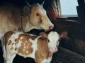 ����� ���������� ���������� ��-�� ������ ������������ � ������ ����� ����