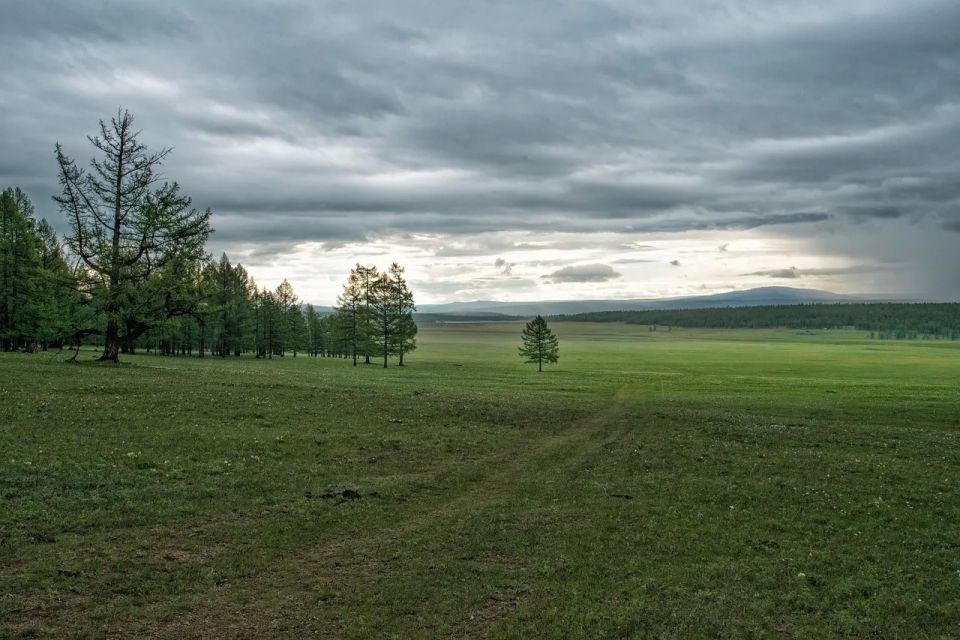 Дождь ожидается на юге, юго-востоке и западе Якутии 2 июня