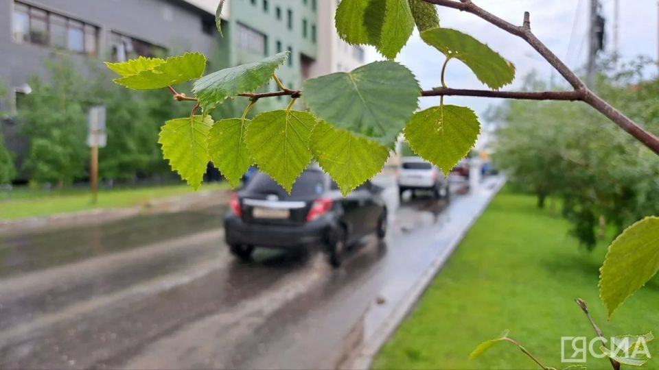 Жару пока не ждем: в Якутском УГМС рассказали о погоде