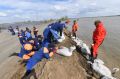 Уровень воды на Яне приблизился к критической отметке