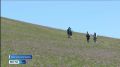 Прокуратура Хангаласского района провела проверку законности предоставления земельных участков в рамках программы "Дальневосточный гектар"