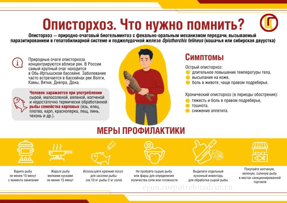 Опасность под чешуей: как избежать описторхоза и других заболеваний при употреблении рыбы