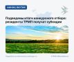 Подведены итоги конкурсного отбора: резиденты ТРМП получат субсидии
