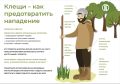 5 ВОПРОСОВ О КЛЕЩЕВОМ ЭНЦЕФАЛИТЕ
