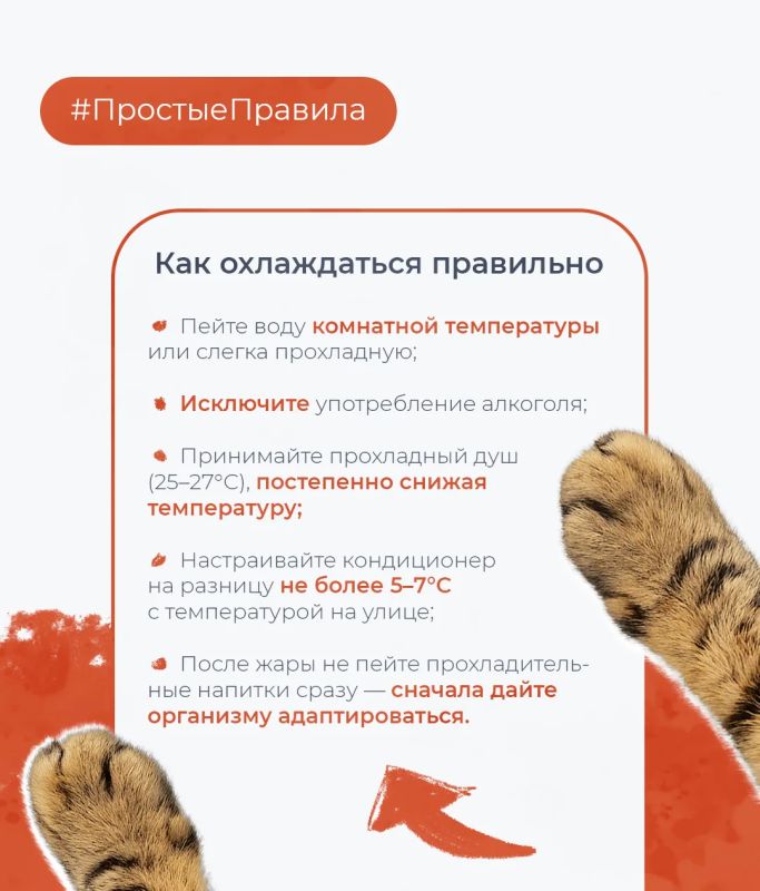Резкий холод в жару опасен для здоровья Резкий холод в жару опасен для здоровья