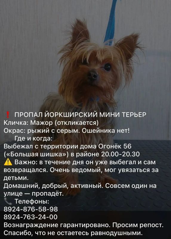 Добрые люди, давайте поможем найти Мажора Добрые люди, давайте поможем найти Мажора