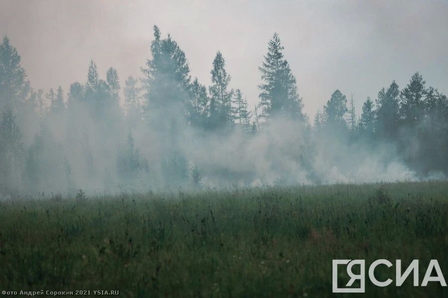 В Якутии тушат лесной пожар в Верхнеколымском районе