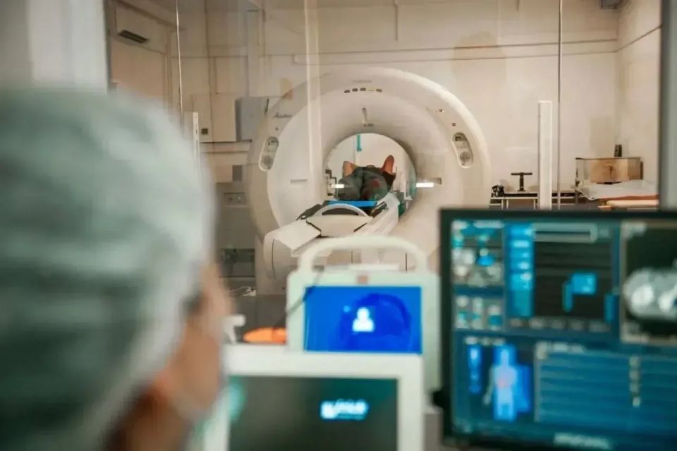 Центральный архив медицинских изображений объединил 3,5 млн исследований в Якутии