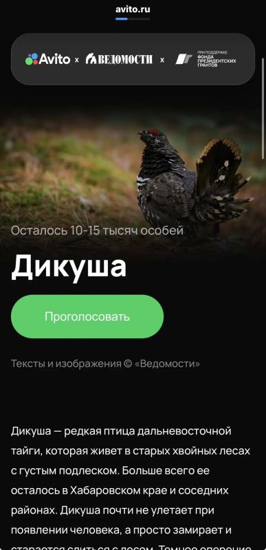 Якутия голосует за стерха и дикушу во Всероссийском голосовании Якутия голосует за стерха и дикушу во Всероссийском голосовании