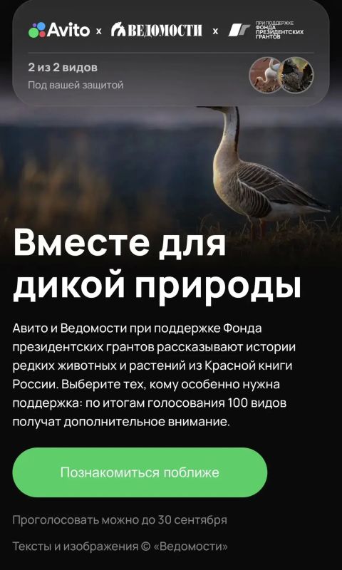 Якутия голосует за стерха и дикушу во Всероссийском голосовании