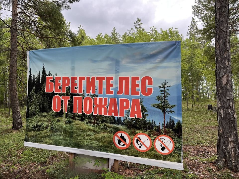 В местности Куллаты организован плоггинг #ЗеленыйЧетверг В местности Куллаты организован плоггинг #ЗеленыйЧетверг