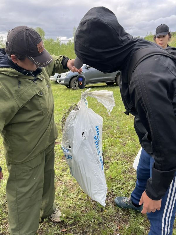 В местности Куллаты организован плоггинг #ЗеленыйЧетверг В местности Куллаты организован плоггинг #ЗеленыйЧетверг