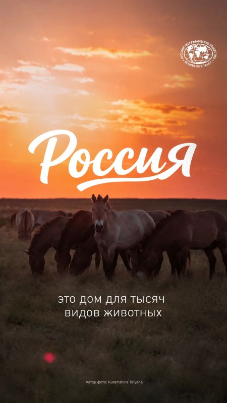 Россия — самая большая страна в мире Россия — самая большая страна в мире