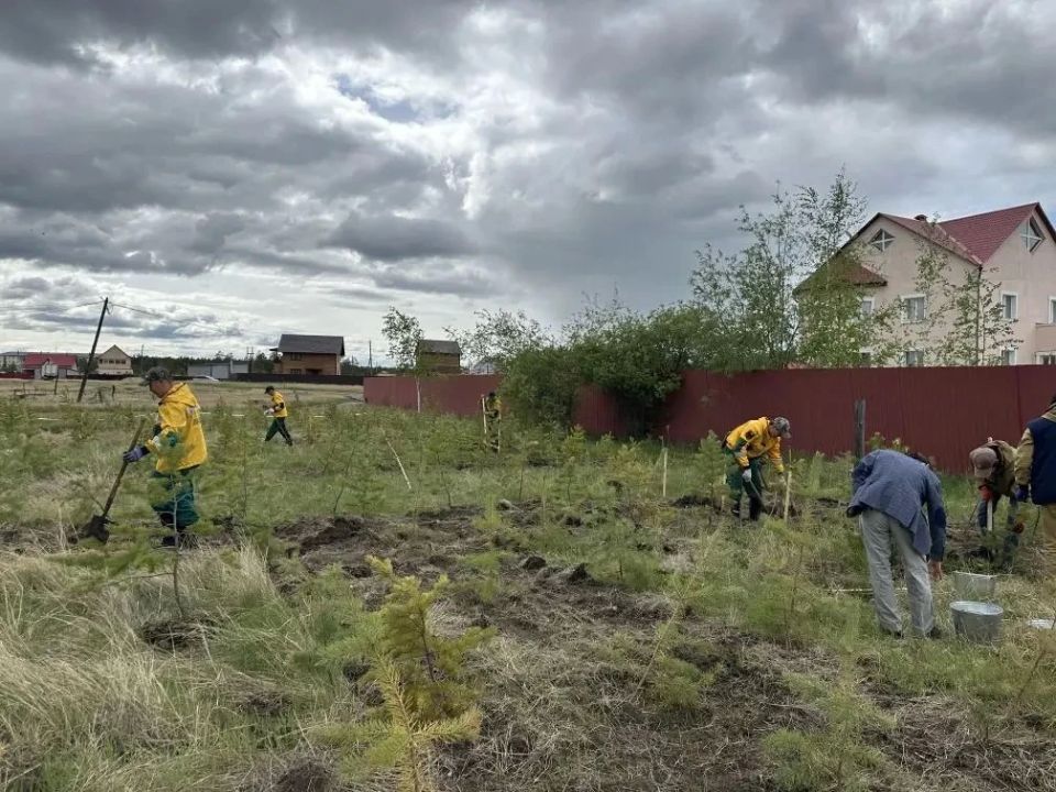 В Якутске обновили геоглиф «Победа-80» В Якутске обновили геоглиф «Победа-80»