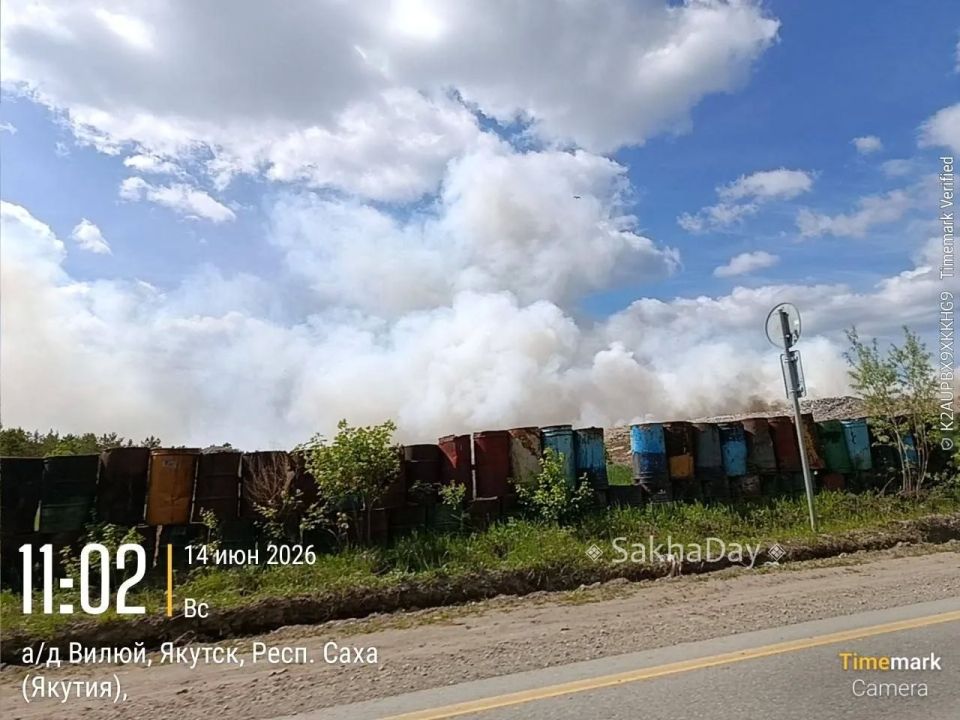 #спрашивают Свалка опять "дышит"?