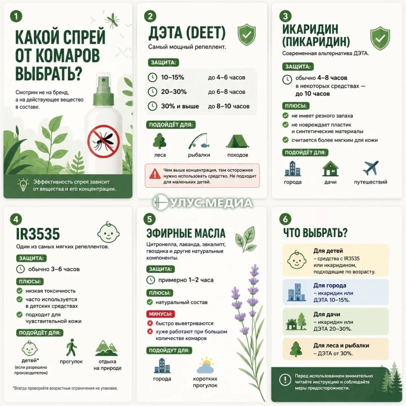 Какой спрей от комаров выбрать? Разбираем состав