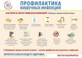 Основные причины кишечных инфекций, связаны с попаданием в организм патогенных микроорганизмов — бактерий, вирусов, простейших или грибов