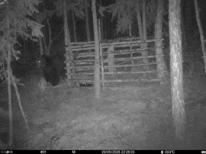 Вас снимает скрытая камера Вас снимает скрытая камера