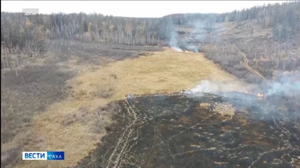 Пожарные Якутска 6 раз выезжали для тушения травы